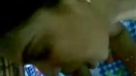 عزیزم داغ پرستو بعد  ...