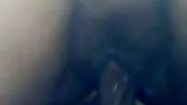 سیاهان بلوند زیبا و  ...