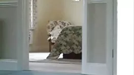 این مشاعره الاستیک ب ...