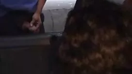 گربه سرخپوست و نیکی  ...