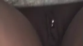 دو شاخه مانند گربه ه ...