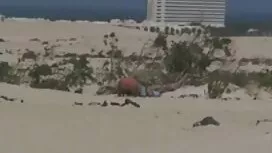 خوشمزه جید جین لعنتی ...