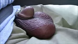 معلم بالغ با یک خروس ...