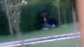 گربه کوچک من ، عزیزم ...