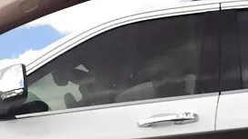 زن و شوهر متاهل توسط ...