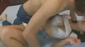 گربه شیرین نر الکس گ ...